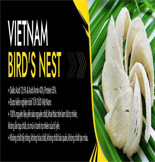 Yến Sào Vietnambird's Net